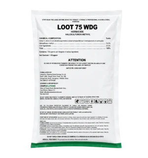 Loot 75 WDG